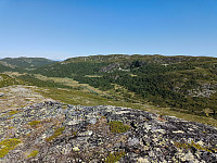 Olepetter_20250711_68711ece827e7.jpg