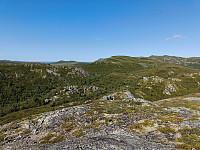 Olepetter_20250711_68711ecf17526.jpg