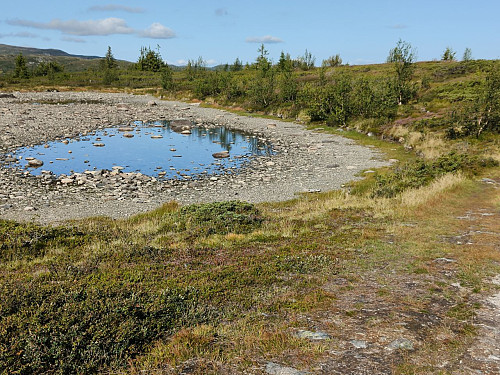 Tørke i fjellet i år!