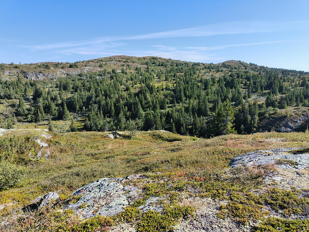 Ser opp mot Ølnesseterfjellet.