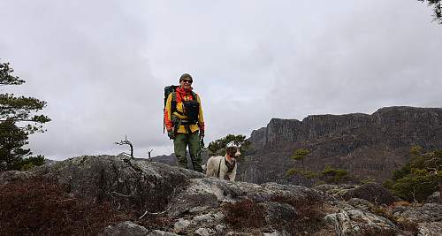 Hestafjellet