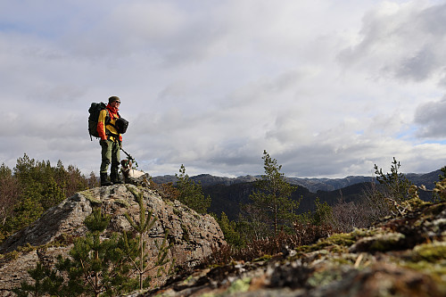 Gamlestølsfjellet