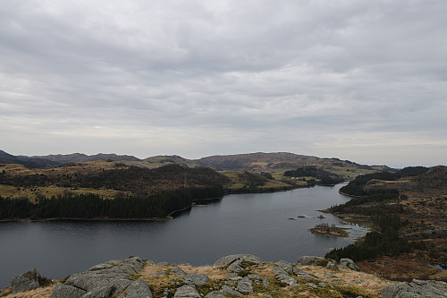 Haugåsen