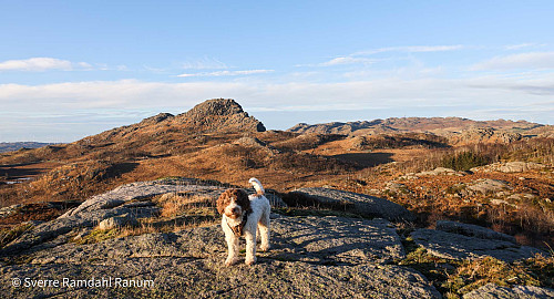 Stølsfjellet
