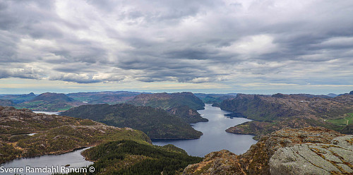 Høgasætet