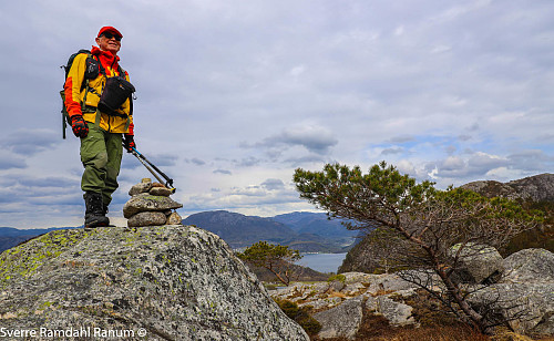 Ørnaknuten