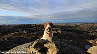 sranum_20250402_67ed4e57b48bc.jpg