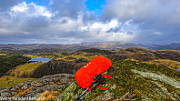 Nålaknuten