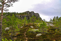 Nord for Kallalistølen