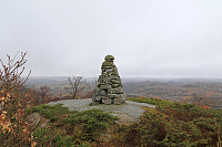 Grønåsen