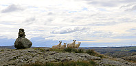 Ristølnuten
