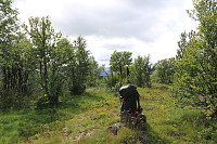 Simlehovda