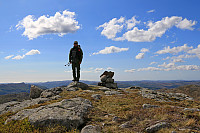 Lindefjellet