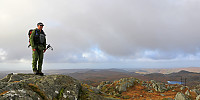 Urdalsnipa