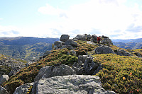 Orreskogknuten/Skogaknuten
