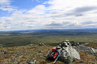 Kringlehøgde