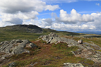 Kalvemellen