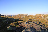 Gongekroknuten