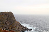 Hådyret