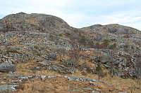 Vårlivarden og Øykjafjellet