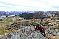 Småerodlane