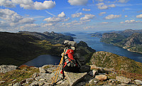 Grøneknuten