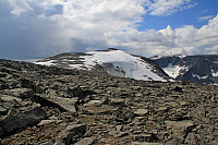 Rasletinden
