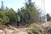 Eikeberget