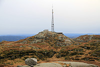 Voreknuden