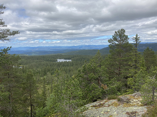 Utsikt nordover fra Svinhusknatten