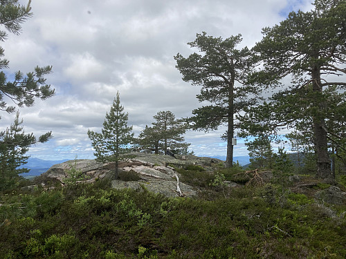 Toppen av Svinhusknatten i Kongsberg/Notodden