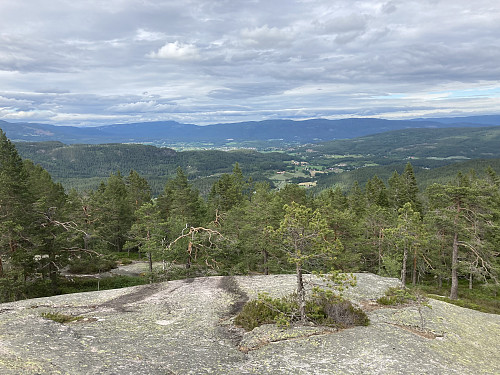 På vei opp fra skogen passeres et stort svaområde