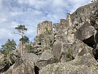 ØyvindBergkvam_20210823_61238a83b430f.jpg