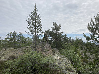 ØyvindBergkvam_20210823_61239f2b67f1e.jpg