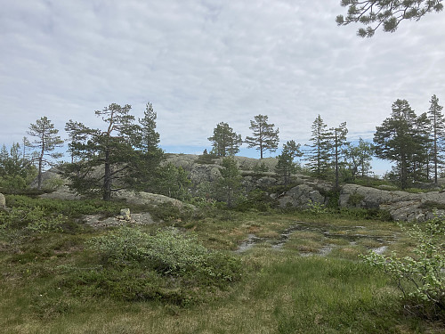 Kolknutfjellet ligger like nord for Steinmann