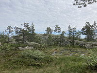 ØyvindBergkvam_20210823_61239f2e16002.jpg