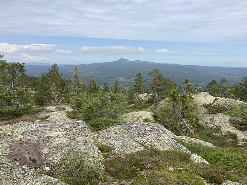 Utsikt nordover retning Jonsknuten fra Kolknutfjellet