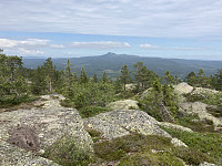 ØyvindBergkvam_20210823_61239f2f6d798.jpg