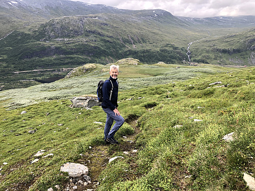Det går enkelte sauetråkk som man delvis kan følge i lia opp mot Hervardseggi