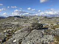 ØyvindBergkvam_20210824_6124df553a163.jpg