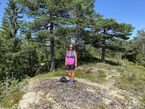 Fiskebekkhøgda i Ringerike