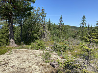 ØyvindBergkvam_20210825_61267099b577f.jpg
