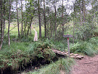 ØyvindBergkvam_20210825_6126871b91b2f.jpg