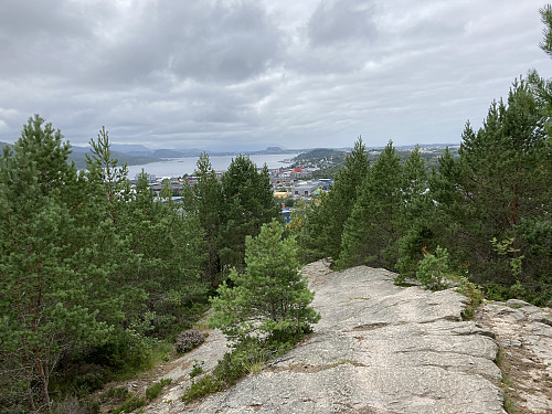 Store deler av turen opp til Kvernberget følger man en svabergrygg slakt oppover