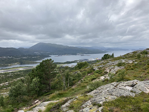 Snart på toppen, Freikollen ses godt fra Kvernberget