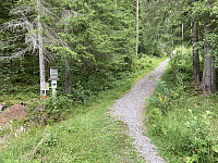 ØyvindBergkvam_20210826_6127938316536.jpg