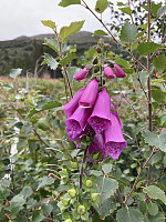 ØyvindBergkvam_20210826_612793851cb9b.jpg
