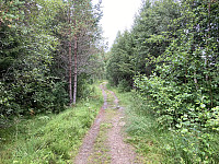 ØyvindBergkvam_20210826_61279997c0a34.jpg