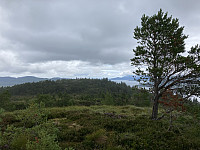 ØyvindBergkvam_20210826_6127999b99f47.jpg