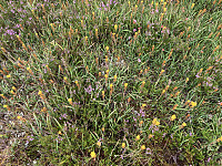 ØyvindBergkvam_20210826_6127999cd8252.jpg